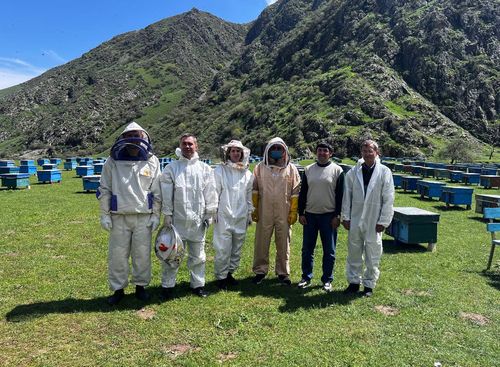 Специалисты Россельхознадзора изучают деятельность пчеловодов Узбекистана